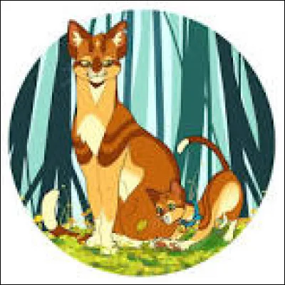 Quel moment de la journée est le meilleur ?