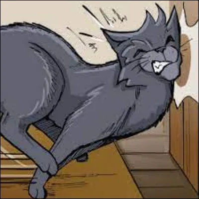 Quel territoire préfères-tu ?