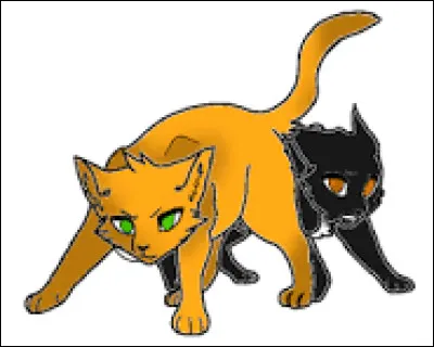 Qui respectes-tu le plus parmi ceux-ci ?