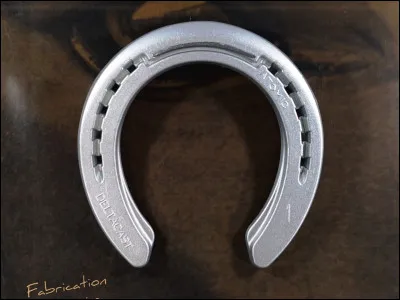 Les chevaux ont souvent aux pieds...