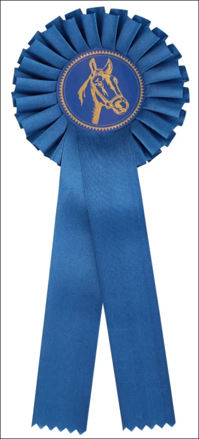 Comment appelle-t-on la récompense que gagnent les cavaliers en concours ?