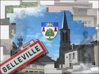 Voici différentes vues de Belleville, en Lorraine. Commune de l'aire d'attraction Nancéenne, sur les bords de la Moselle, elle se situe dans le département ...