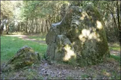 Nous sommes dans les Pays-de-la-Loire, à Pont-Saint-Martin, devant le menhir des Dames de pierre. Ville de l'aire d'attraction Nantaise, elle se situe dans le département ...