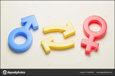 Es-tu un garçon ou une fille ? (Ça ne veut pas dire que celui que tu seras à la fin sera de ton sexe.)