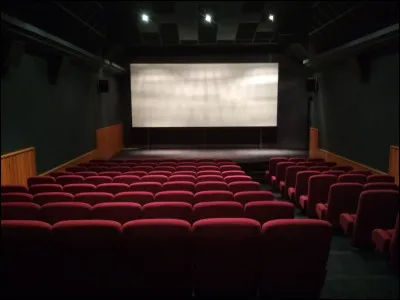 Magnifique : qui jouait dans le film portant ce nom ?