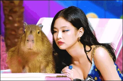 En quelle année le groupe Blackpink a-t-il débuté ?