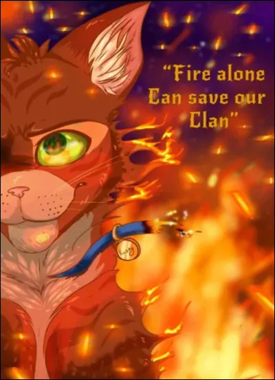 Que dit la prophétie du Clan des Étoiles ?