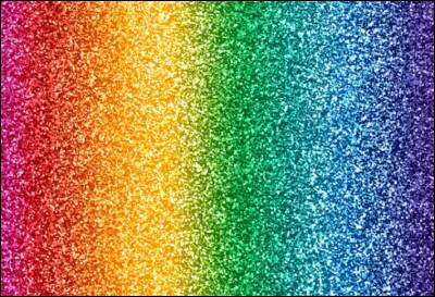 La France est le plus petit pays au monde.