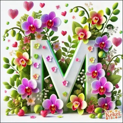 Moussaka : quel est le légume fondamental de la Moussaka ?