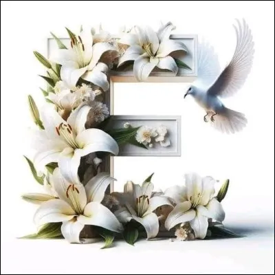 Égypte : quel nom porte ce désert égyptien parsemé d'oasis dont l'oasis de Siwa, à l'ouest de la vallée du Nil ?