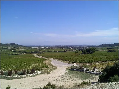 Son homme au foyer est d'une autre espèce.