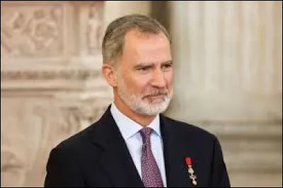 Dans ce pays, il y a un roi : Felipe VI.