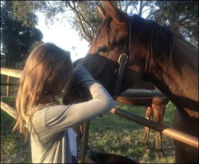 Quel serait l'animal de tes r&ecirc;ves ?