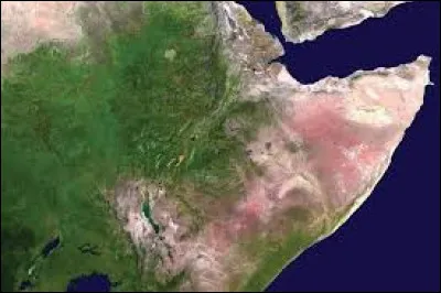Que désigne le Danakil dans la Corne de l'Afrique ?
