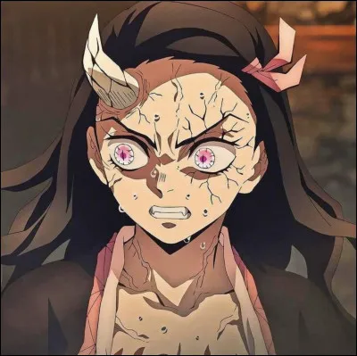 Facile : comment s'appelle la sur du personnage principal ?