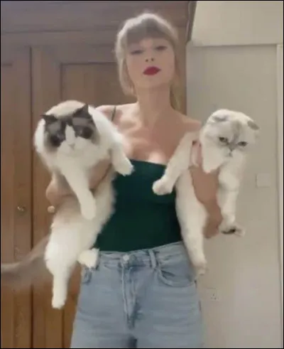 Qui sont les chats de Taylor Swift ?