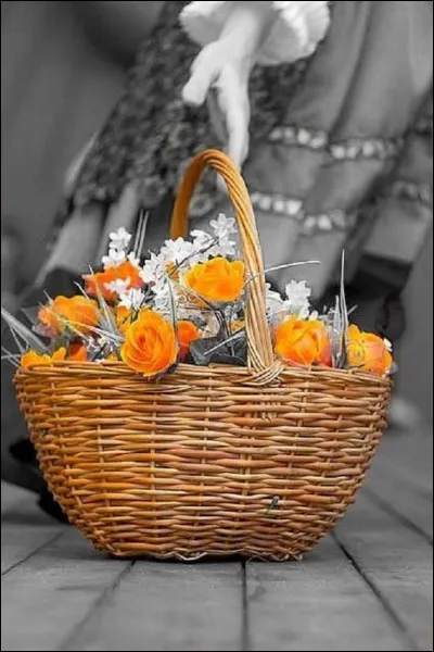 Qui chantait "Chaque fois qu'on arrache une fleur qu'on désigne un vainqueur, qu'on verrouille une issue,on fait reculer l'amour de quelques mètres de plus" ? Et il ajoutait "C'est pas grave, ce sont mes dernières larmes, c'est pas grave..."