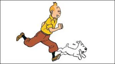 Pour quel journal travaille Tintin ?