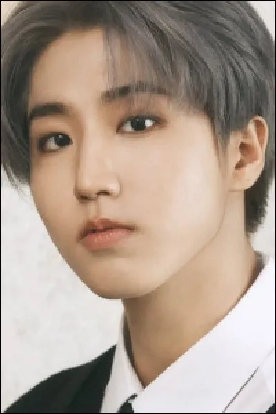 Comment se nomme ce chanteur ?