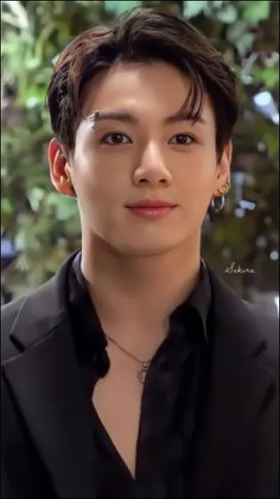 Comment se nomme ce chanteur ?