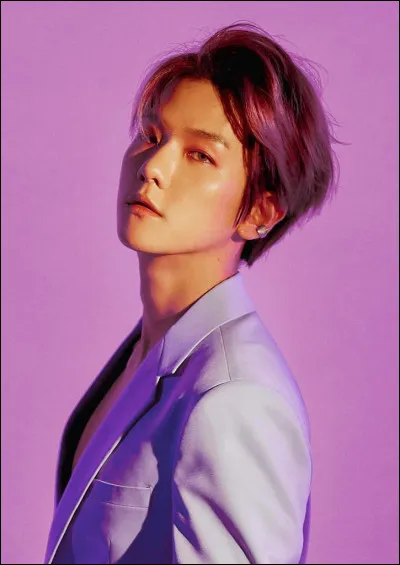 Comment se nomme ce chanteur ?