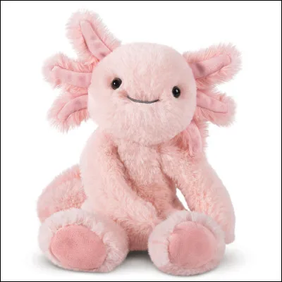 Quatorzième destination : 
Comme c'est gentil, tes parents t'offrent une petite peluche qui t'aidera peut-être à deviner dans quel pays tu vas. D'après eux, cet animal ne vit que là-bas malgré le fait qu'il a été transporté et pris comme animal de compagnie dans d'autres pays. Quel est le pays ?