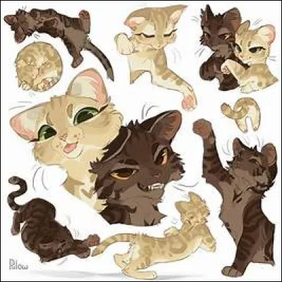 Ok. L'histoire est finie. On va en faire une autre. Tu es né lors de la mauvaise saison (hiver) dans le Clan du Vent. Tes longs poils gris te portent chaud, mais ta mère ne cesse de s'inquiéter pour toi. Tu ne cesses de lui répéter que tu vas bien et que jamais tu ne tomberas malade... Avant d'éternuer. Aussitôt, elle t'amène chez le guérisseur. Que dis-tu ?