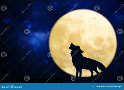 À quoi ressemble un loup-garou ?