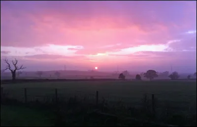 Étoile Sanglante a eu des chatons, quels étaient leurs noms ?