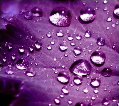 "Purple Rain" de Prince : Est-ce une chanson des années 70 ?