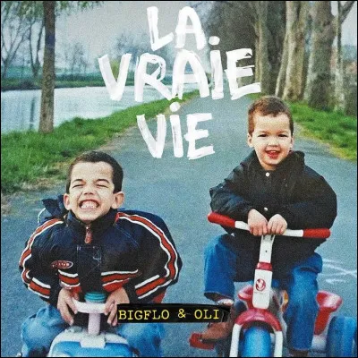 Quelle chanson de Bigflo et Oli dans l'album ''La Vraie Vie'' parle d'envie, de suicide et de dépression ?