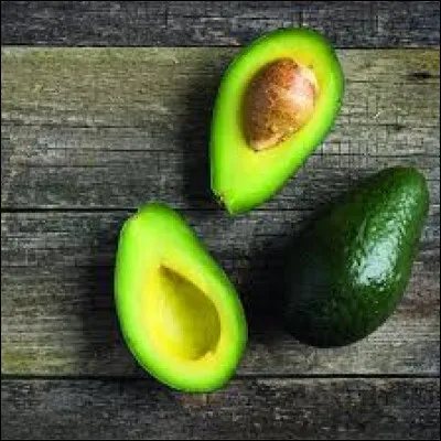 Que doit porter un avocat qui plaide dans un tribunal ?