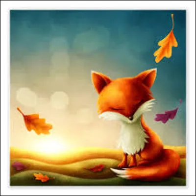 Comment appelle-t-on la femme du renard ?