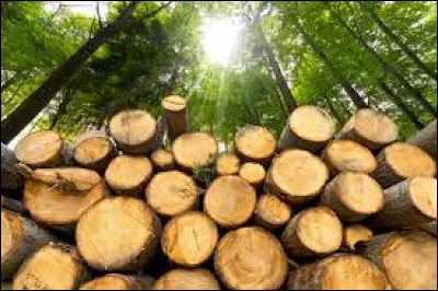 Parmi ces propositions, laquelle ne fait pas référence à un bois naturel ?