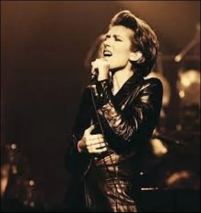 Qui a chanté "Pour que tu m'aimes encore" en 1995 ?