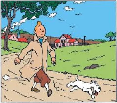 Laquelle de ces propositions ne désigne pas une aventure de Tintin ?