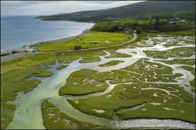 Quelle lettre grecque désigne l'embouchure d'un fleuve ?