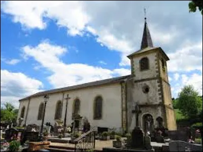 Nous sommes en Lorraine, &agrave; Haute-Vigneulles. Village de l'arrondissement de Forbach-Boulay-Moselle, il se situe dans le d&eacute;partement ...