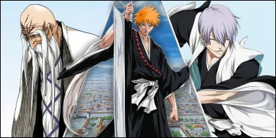Je viens du manga/anim&eacute; "Bleach". Je suis une Shinigami de petite taille, aux cheveux noirs courts et aux yeux violets, ce qui me donne un air s&eacute;rieux mais discret. Mon apparence fr&ecirc;le contraste avec ma d&eacute;termination. Qui suis-je ?