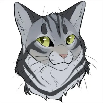 Et quel est le Clan de cette dernière (première compagne de Plume Grise) ?