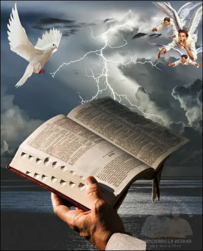 Dans son poème, l'auteur nous dit "Homme libre toujours tu chériras la mer" :