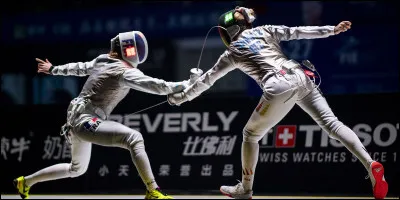 Parmi ces propositions, laquelle nest pas une arme utilisée par les joueurs descrime ?