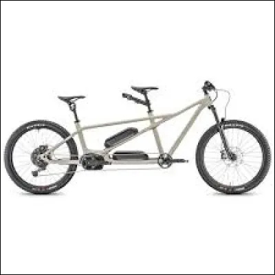 Comment s'appelle ce vélo fait pour deux personnes ?