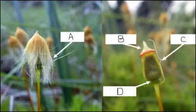 Compléter la légende de cette photo.