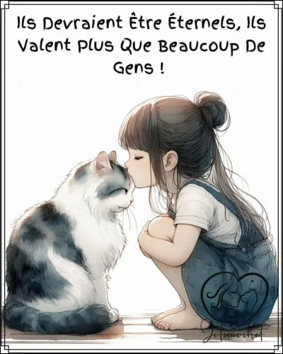 Et une strophe, cette fois composée de trois vers, comment se nomme-elle ?