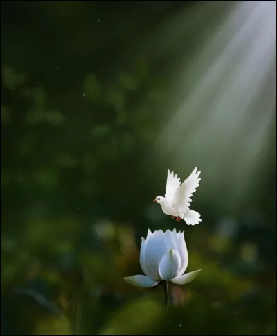 Et une strophe de deux vers est appelée...