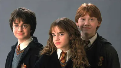 Finalement tu n'as pas trop le choix car trois des compartiments se sont remplis alors que tu réfléchissais, tu dois donc aller dans celui de Harry Potter, Ronald Weasley et Hermione Granger ; que dis-tu en entrant ?