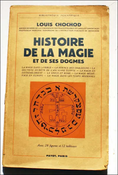 Le lendemain, ton premier cours est histoire de la magie mais alors que le professeur Binns endort déjà tout le monde, tu...