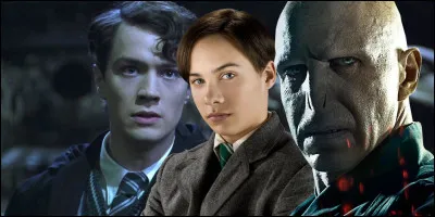 Que penses-tu des idées de Voldemort ?