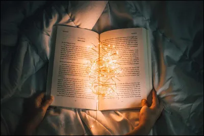 Si tu avais choisi la deuxième option, quel livre lisais-tu ?